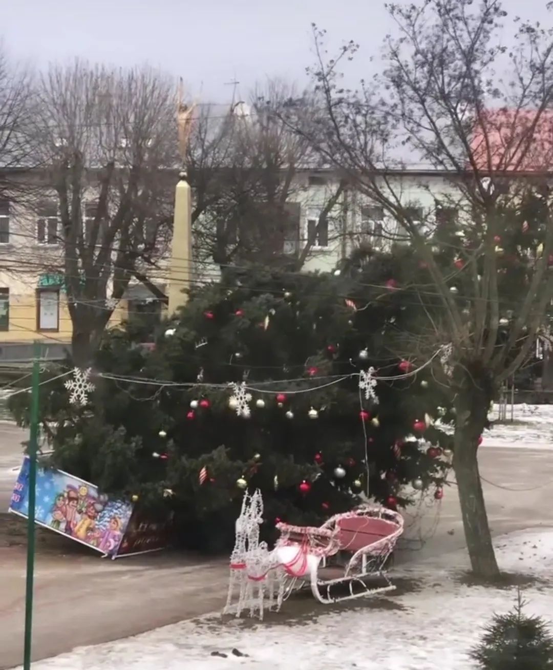 Сильний вітер повалив головну новорічну ялинку у Буську