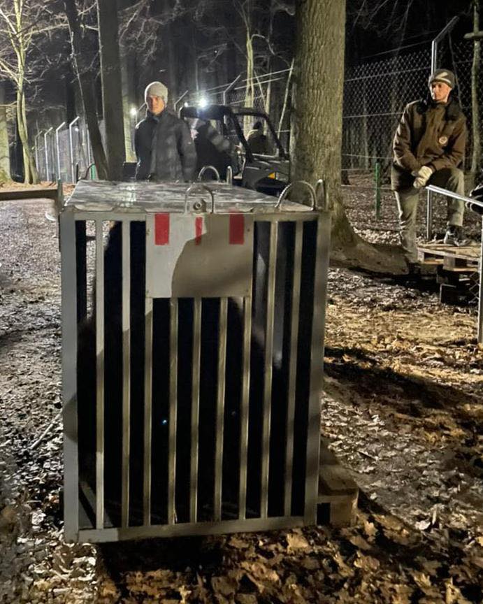 Ще двох ведмедів з київського притулку привезли до Львова