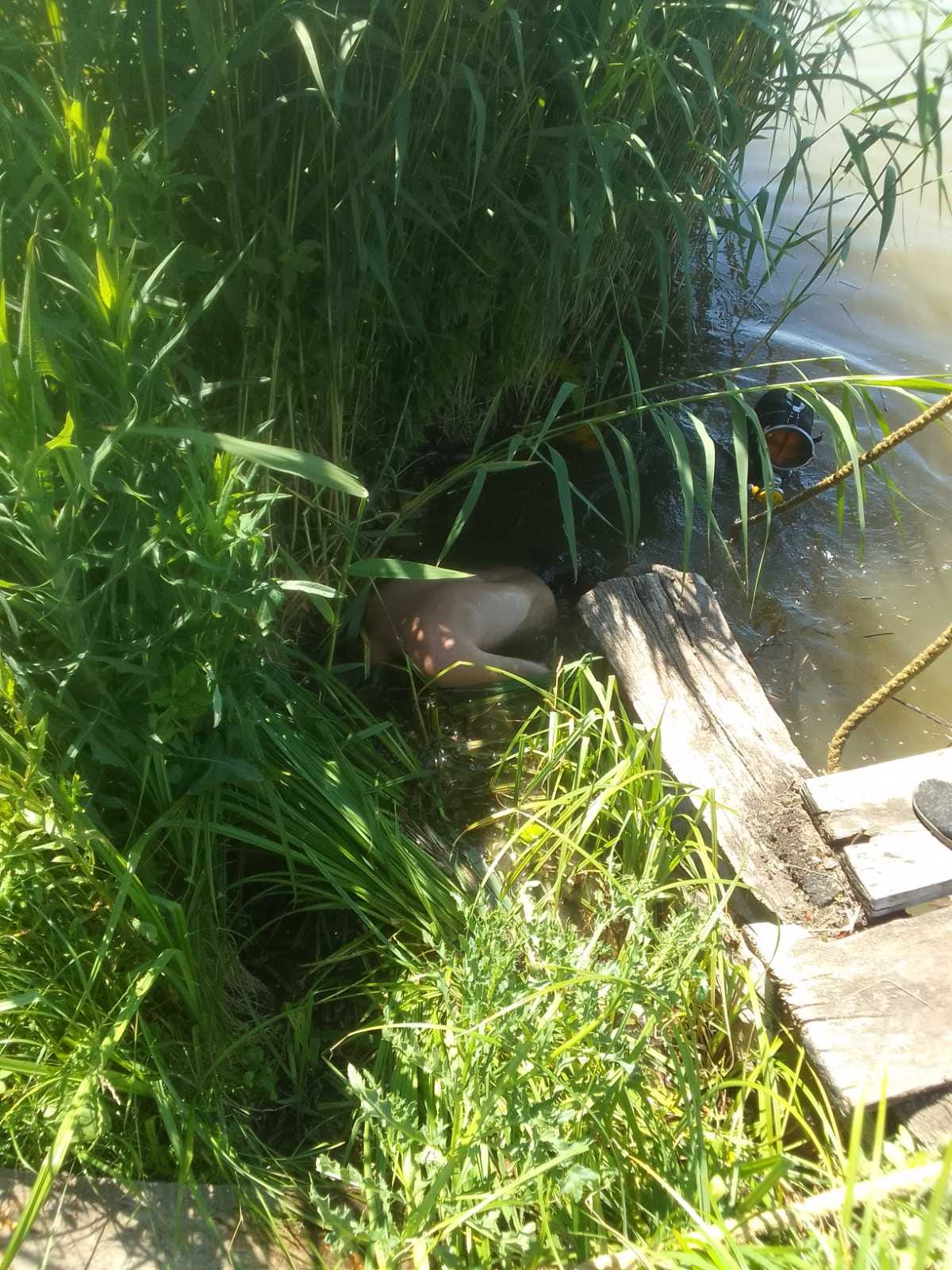 Зі ставка у Червоноградському районі витягли труп