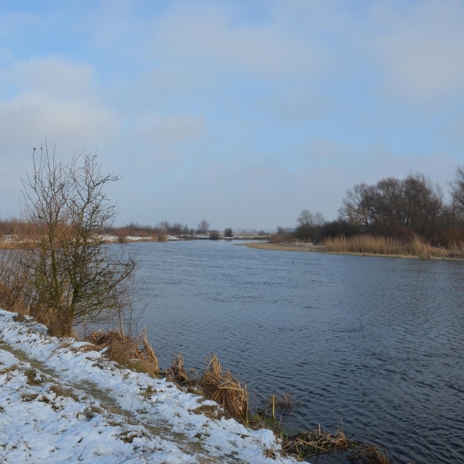 На Західному Бузі збудують 20-метрову оглядову вежу. Фото: Андрій Порицький/Facebook