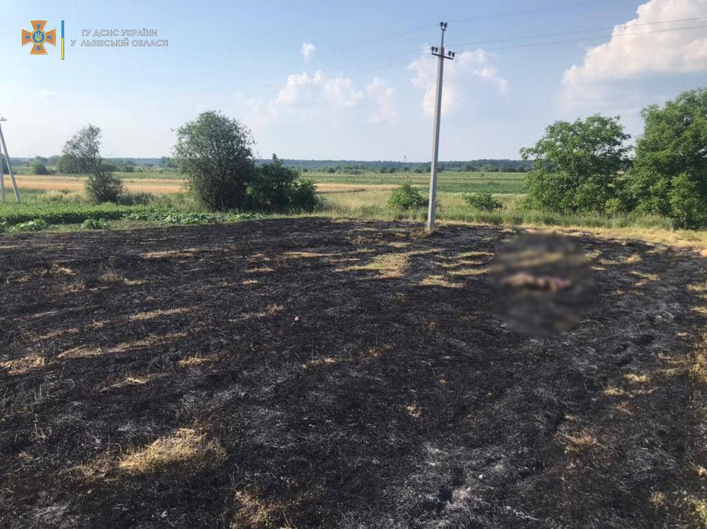 У селі на Львівщині під час спалювання сухої трави загинула 76-річна жінка
