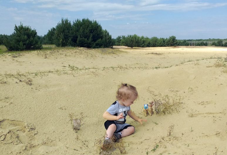 Пустеля на Львівщині “Бродівська Сахара”. Фото: Львів - місто натхнення