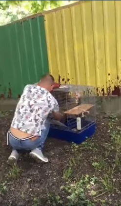 В доросле життя: білченят, які випали з гнізда, відгодували і випустили фото 1