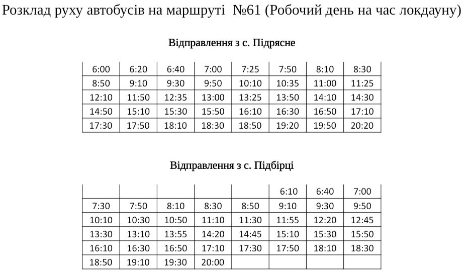 Похвилинний графік: як курсують автобуси у Львові під час локдауну фото 3 2