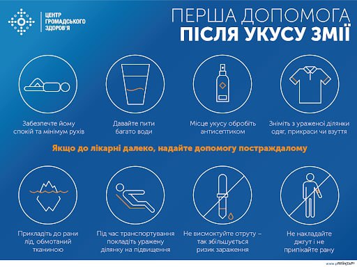 Через укус змії 23-річна дівчина потрапила до львівської лікарні. Фото: Департамент цивільного захисту Львівської облдержадміністрації