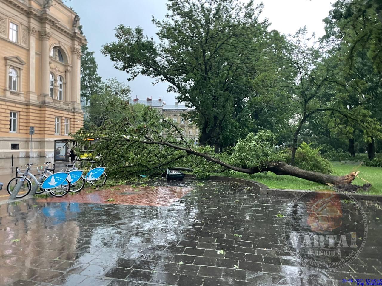 Львів накрила сильна буря. Фото: Варта1