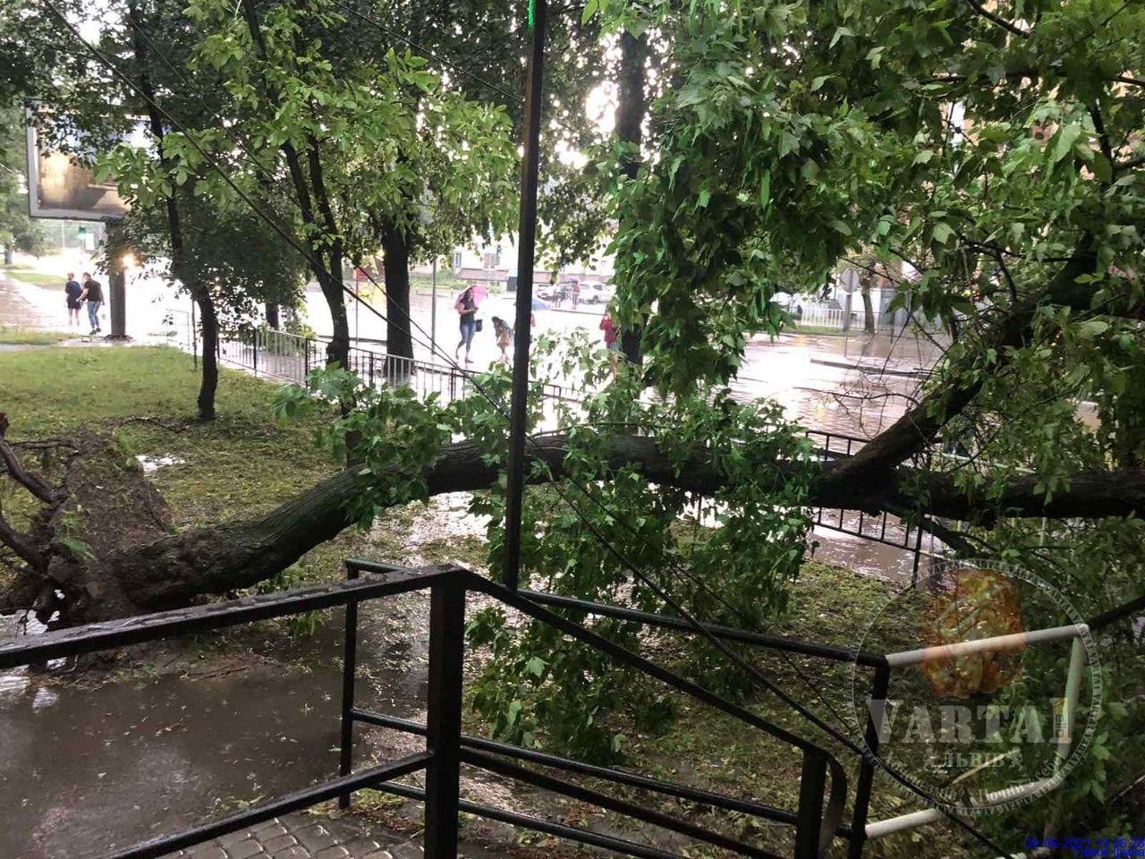 Львовом знову пройшла сильна гроза. Фото: Варта1