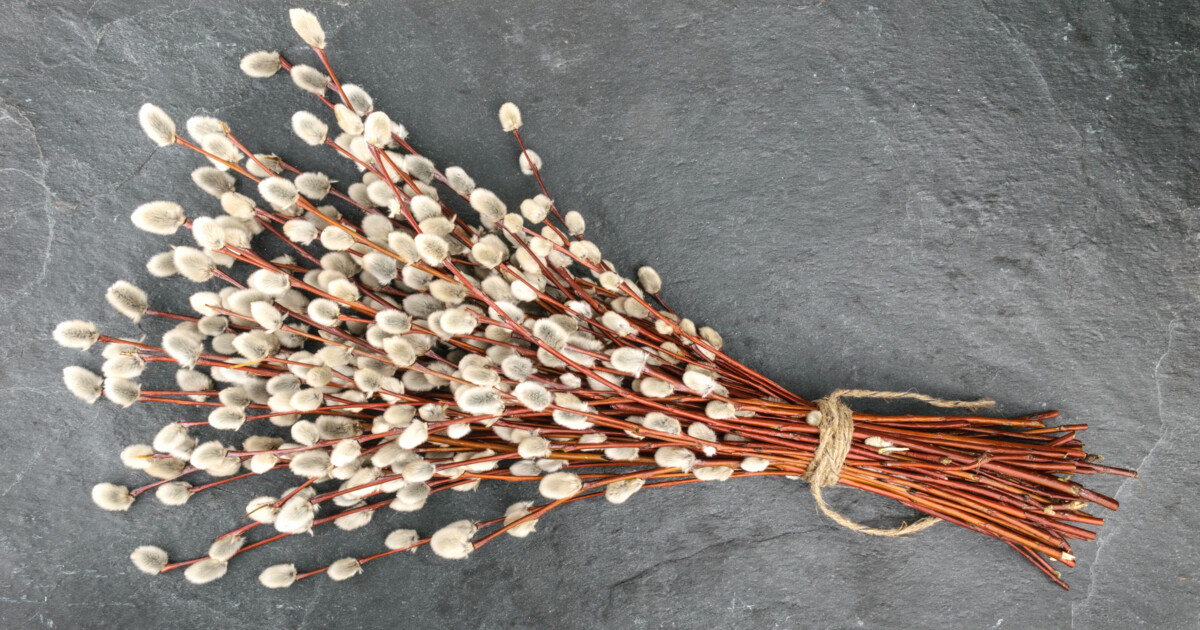 Вербна неділя 2021: коли і як святкувати. Фото: depositphotos.com