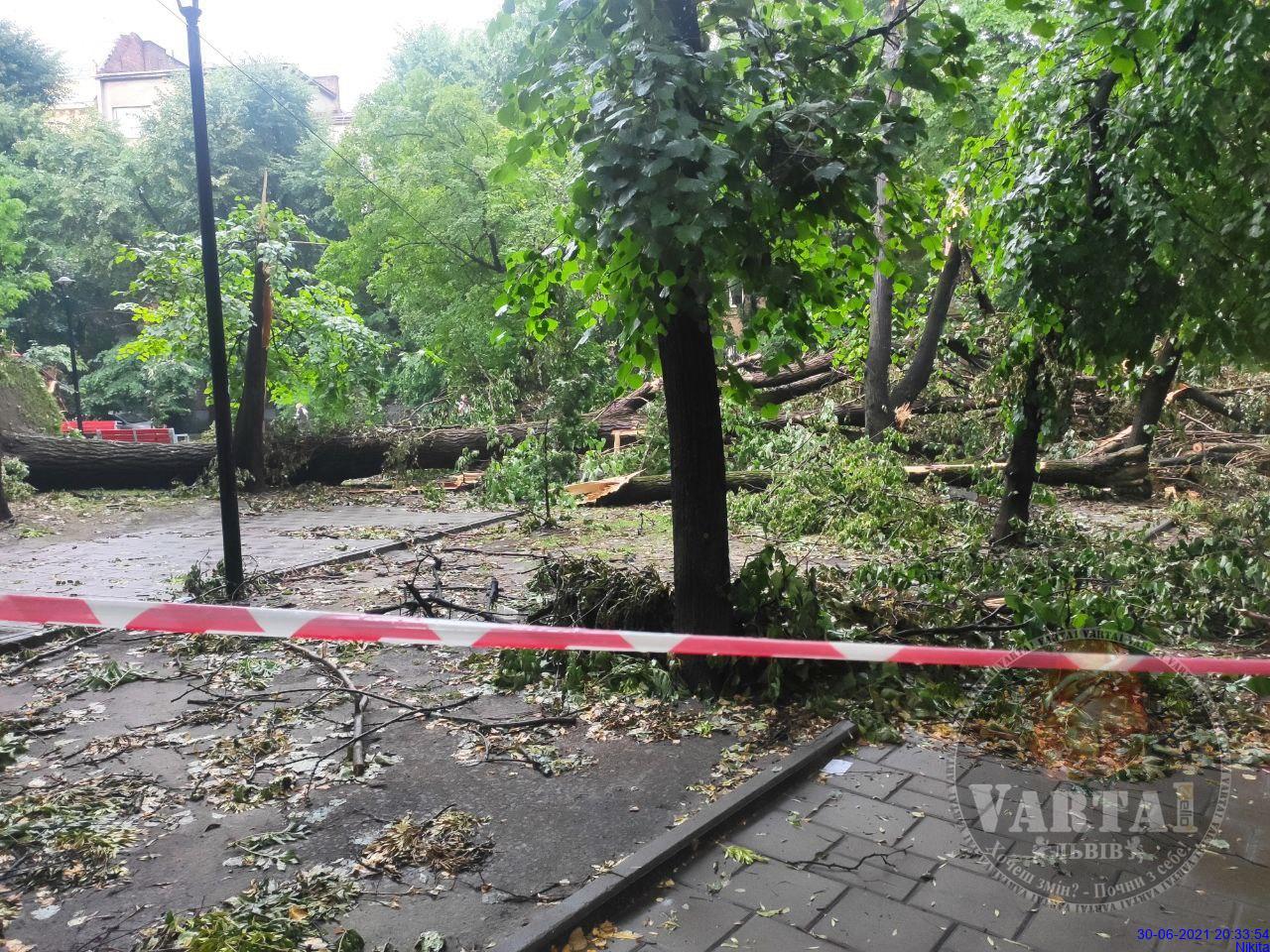 Львовом знову пройшла сильна гроза. Фото: Варта1