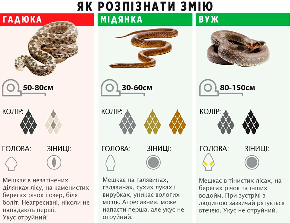 Фото: Оповіщення цивільного захисту