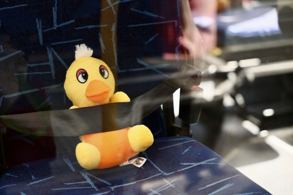 Екскурсія Львовом, яка ніколи не відбудеться: на площі Ринок провели соціальну акцію