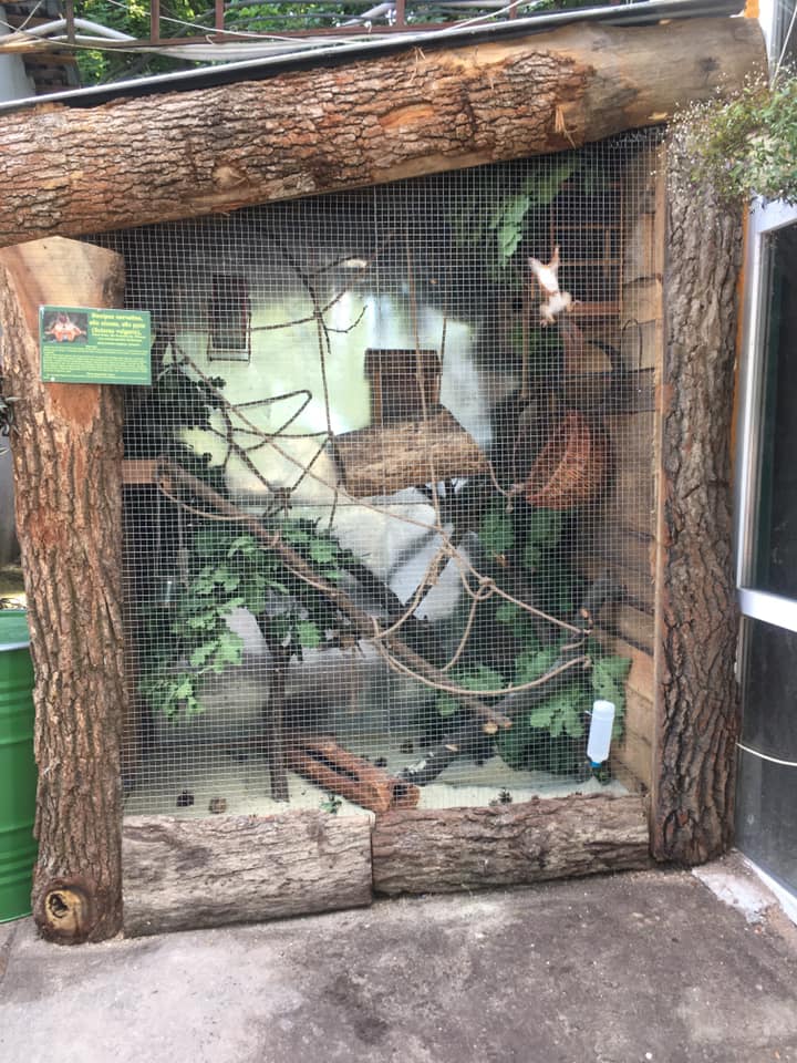 Завершений вольєр. Фото: Орест Залипський