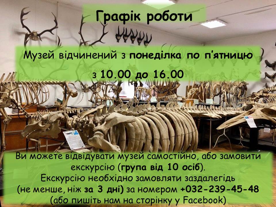 Графік роботи музею. 