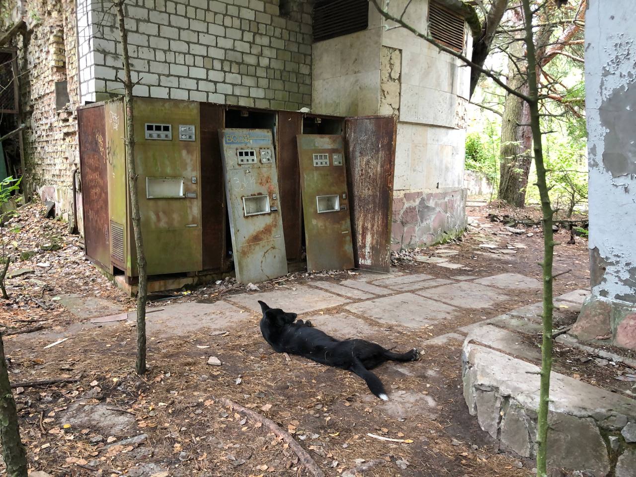 Все, що потрібно знати про екскурсію в Чорнобильську зону. Фото: VG Львів