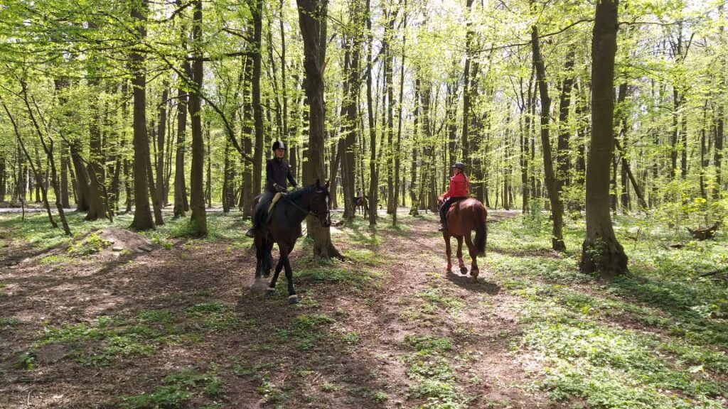 Сиховом гуляють вершниці. Фото: ІП "Діло"