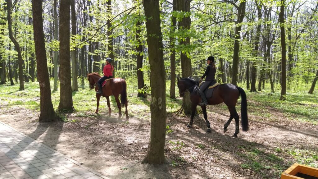 Сиховом гуляють вершниці. Фото: ІП "Діло"