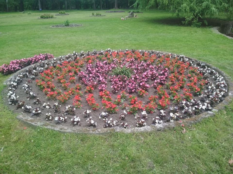 Стрийський парк розквіт сотнями барвистих сальвій і бегоній. Фото: Львів. Містобудування