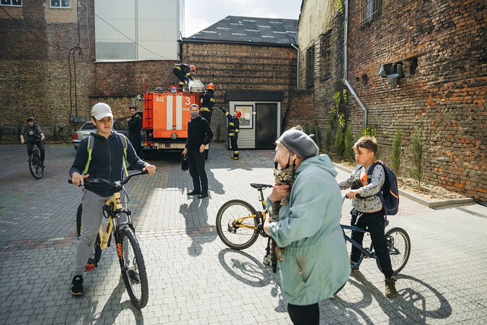 Львівські рятувальники зняли з дерева бабусиного котика. Фото: Михайло Пахолюк