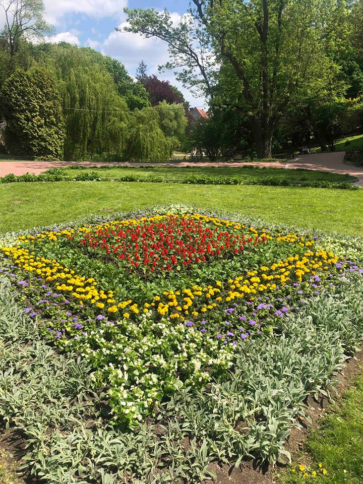 Стрийський парк розквіт сотнями барвистих сальвій і бегоній. Фото: Львів. Містобудування
