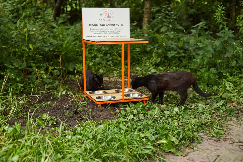 Котівничка. Фото: Львівська міська рада