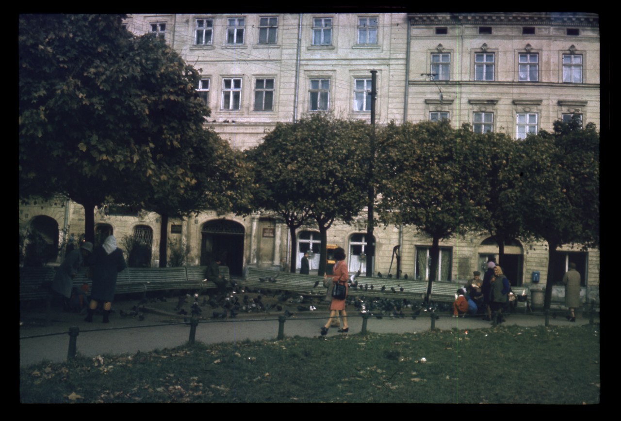 Львівський блогер показав фото Львова 1960-70 років