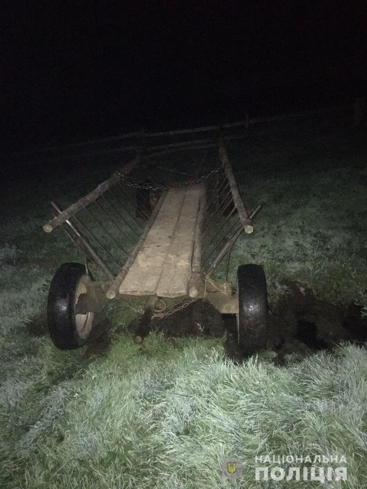 На Стрийщині чоловік потрапив під колеса власної підводи. Фото поліції