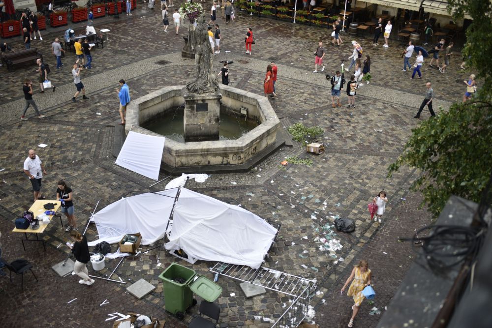 Сильний вітер повалив у Львові дві сотні дерев. Фото: Львівська міська рада