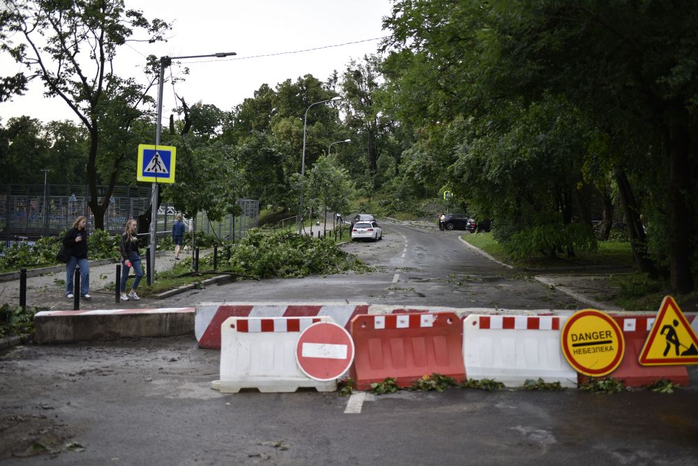 Сильний вітер повалив у Львові дві сотні дерев. Фото: Львівська міська рада
