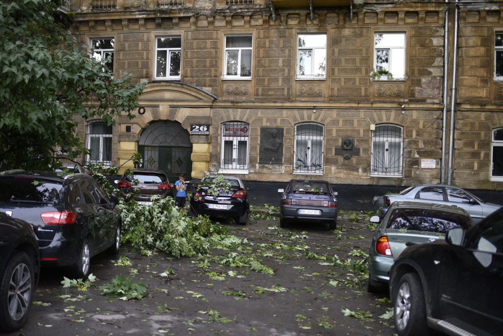 Сильний вітер повалив у Львові дві сотні дерев. Фото: Львівська міська рада