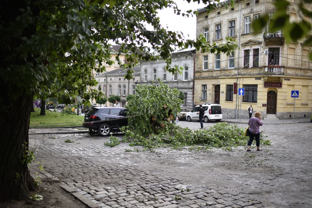 Сильний вітер повалив у Львові дві сотні дерев. Фото: Львівська міська рада