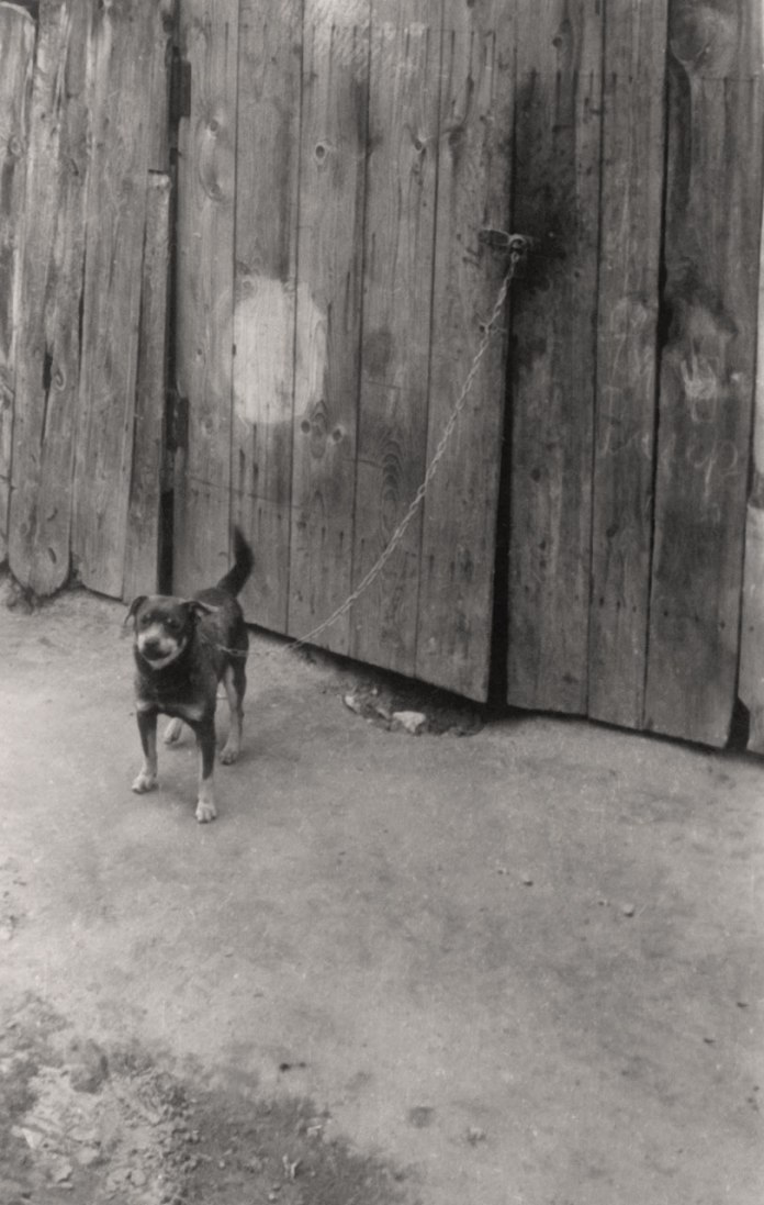Львів, район Підзамче, серпень 1959 року. Фото Юліана Дороша