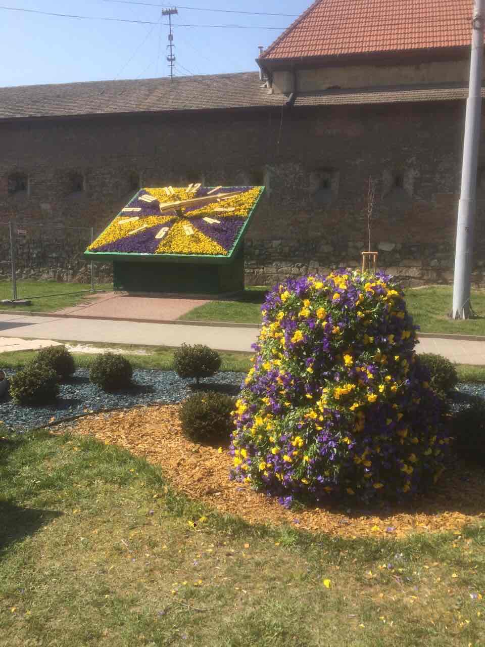 На площі Митній заквіт годинник. Фото: ЛМР