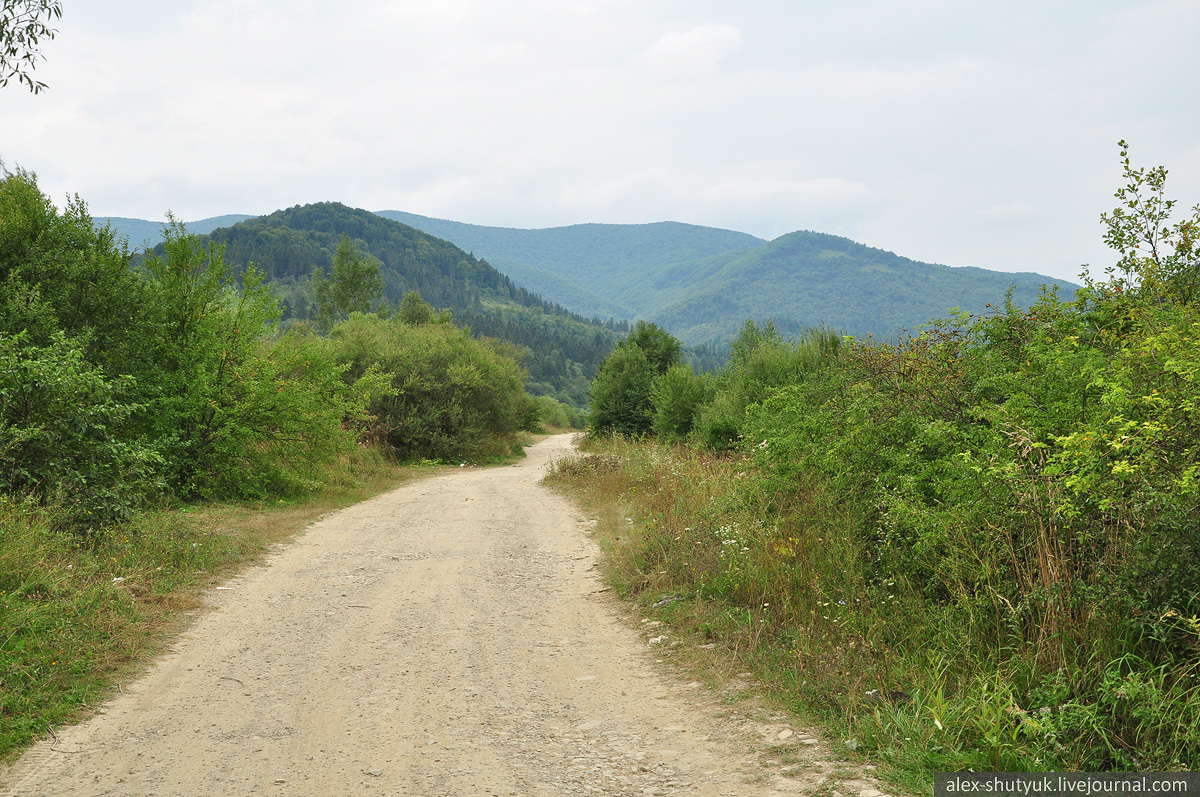 Дорога до "Карпатського моря". Фото: alex-shutyuk.livejournal.com