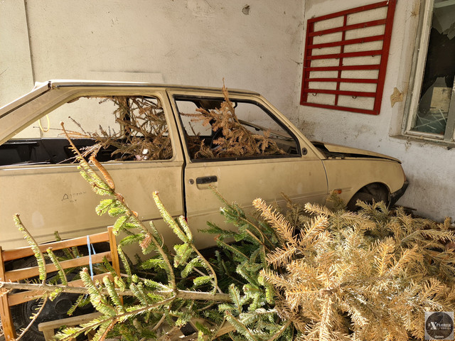 Дослідники показали фото закинутої автошколи на Новому Львові. Фото: Андрій Риштун