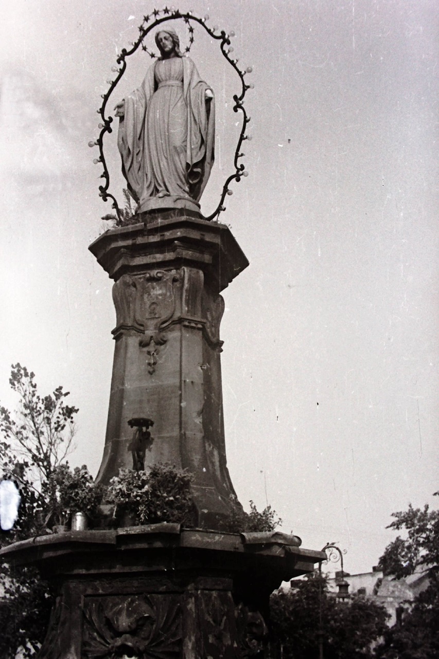 У мережу виклали фото Львова 1940-50 років. Фото: photo-lviv.in.ua/Борис Олексійович Ведерников