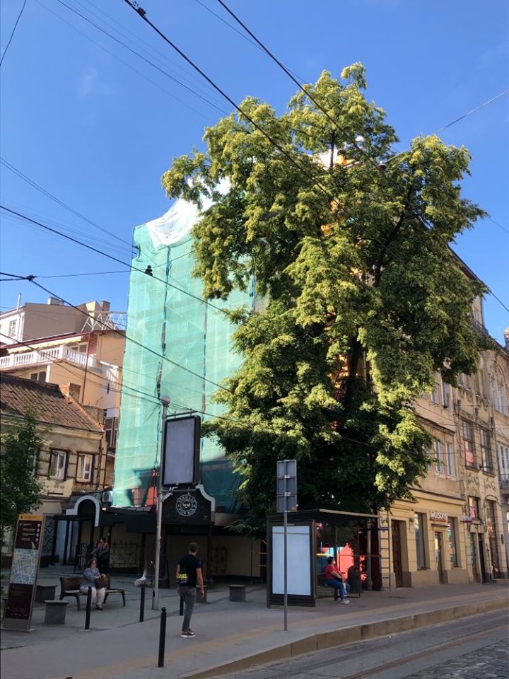 Новий мурал перед відкриттям. Фото: ЛМР