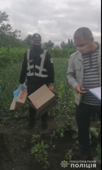 Поліцейські зібрали незаконний «урожай»