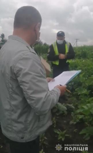 Поліцейські зібрали незаконний «урожай»