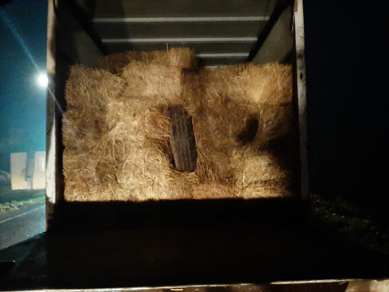 Львівські прикордонники виявили схрон із 5 тисячами пляшок горілки. Фото: Державна прикордонна служба України