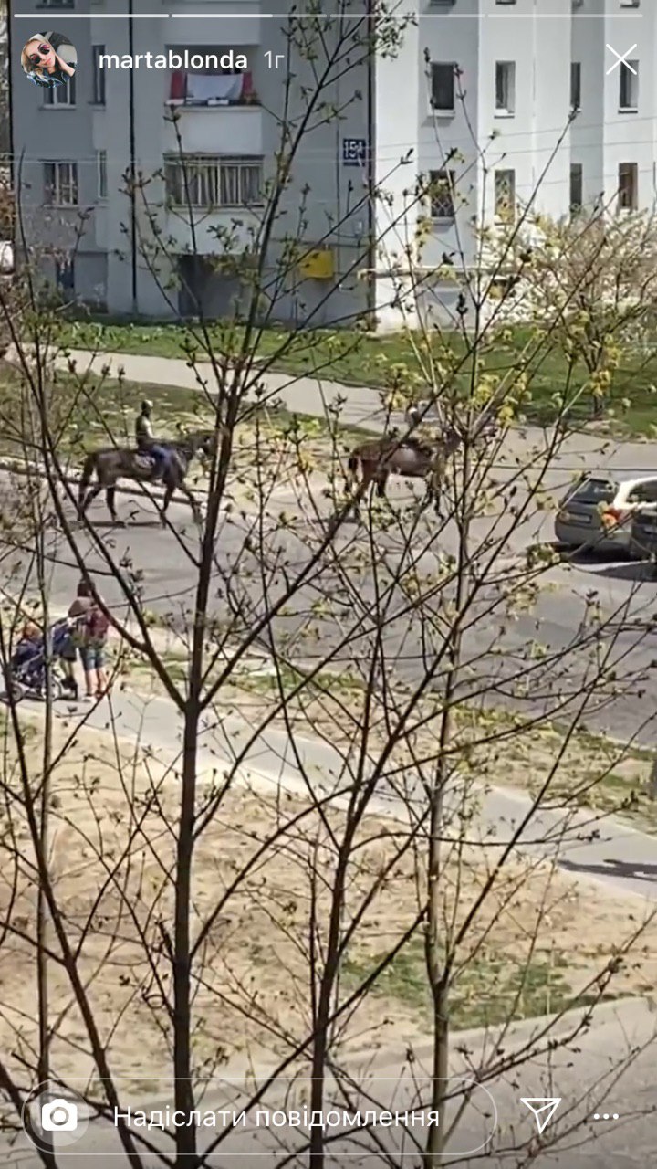 Сиховом гуляють вершниці. Фото: martablonda