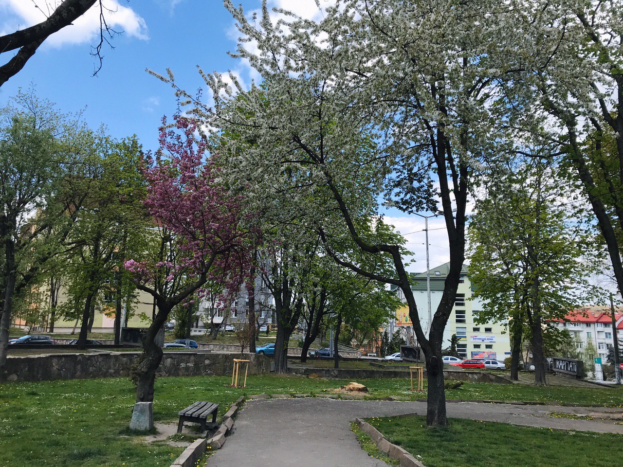 Квіткова арка на вулиці Зеленій. Фото: VG Львів