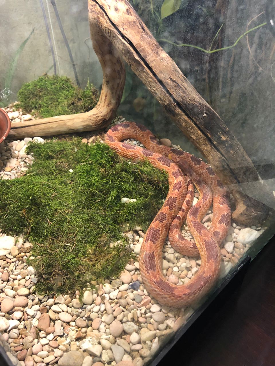 На Вірменській відкрили нове незвичайне кафе. Фото: VG Львів