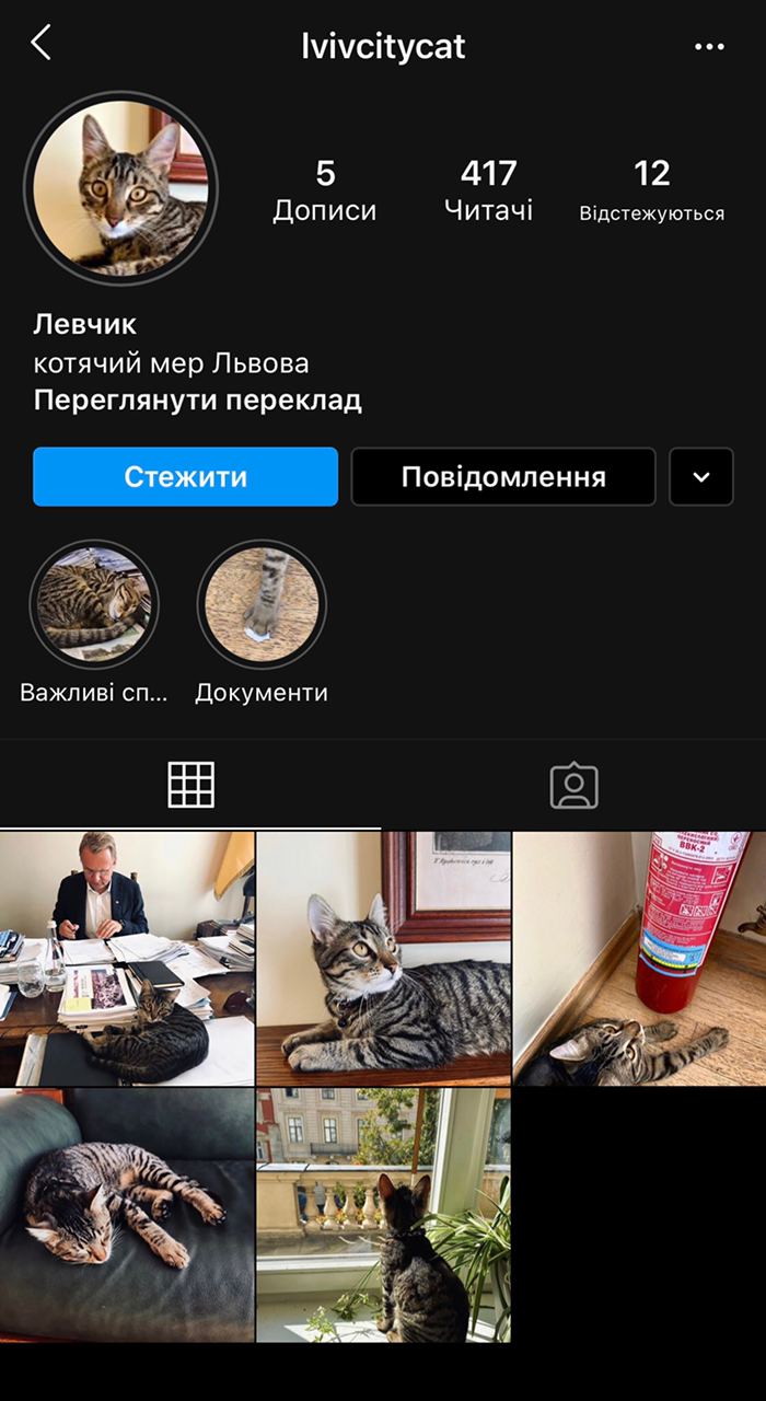 Котячий мер Львова завів акаунт в Instagram. Скріншот Lvivcitycat