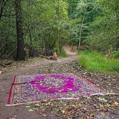 Килим посеред Сихівського лісу. Фото: Сихів Медіа