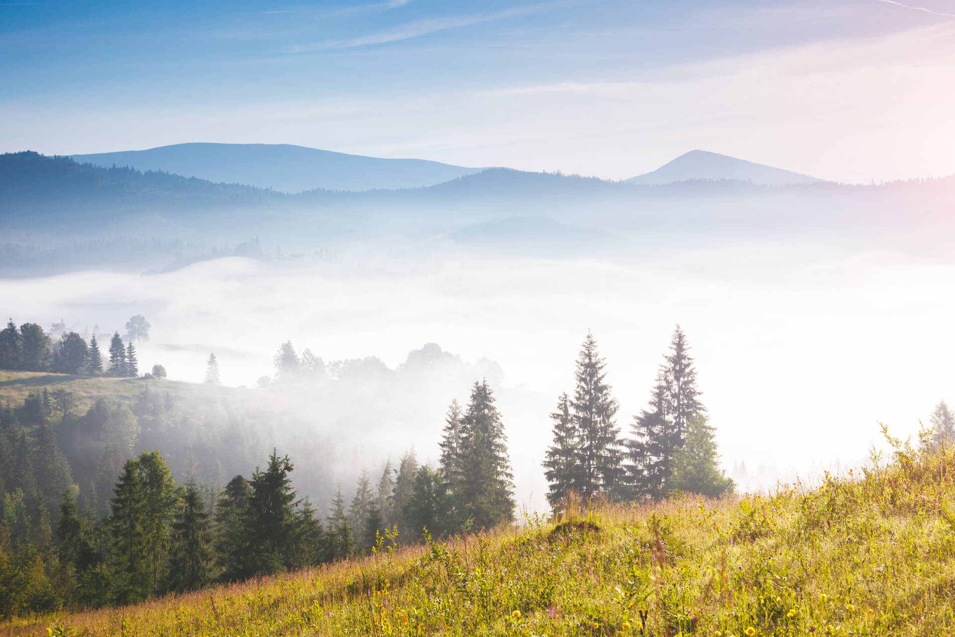 Гори Карпат. Фото: zaharberkut.ua