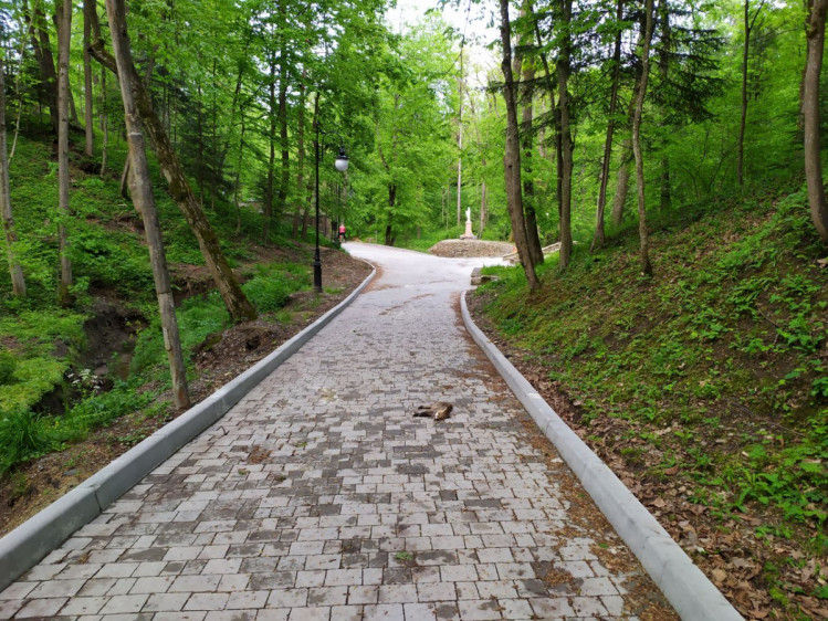 Лисиця в Трускавці. Фото: Depo.Львів