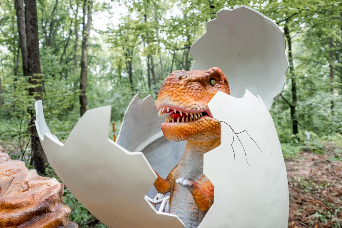 Виставка динозаврів. Фото: Високий Замок