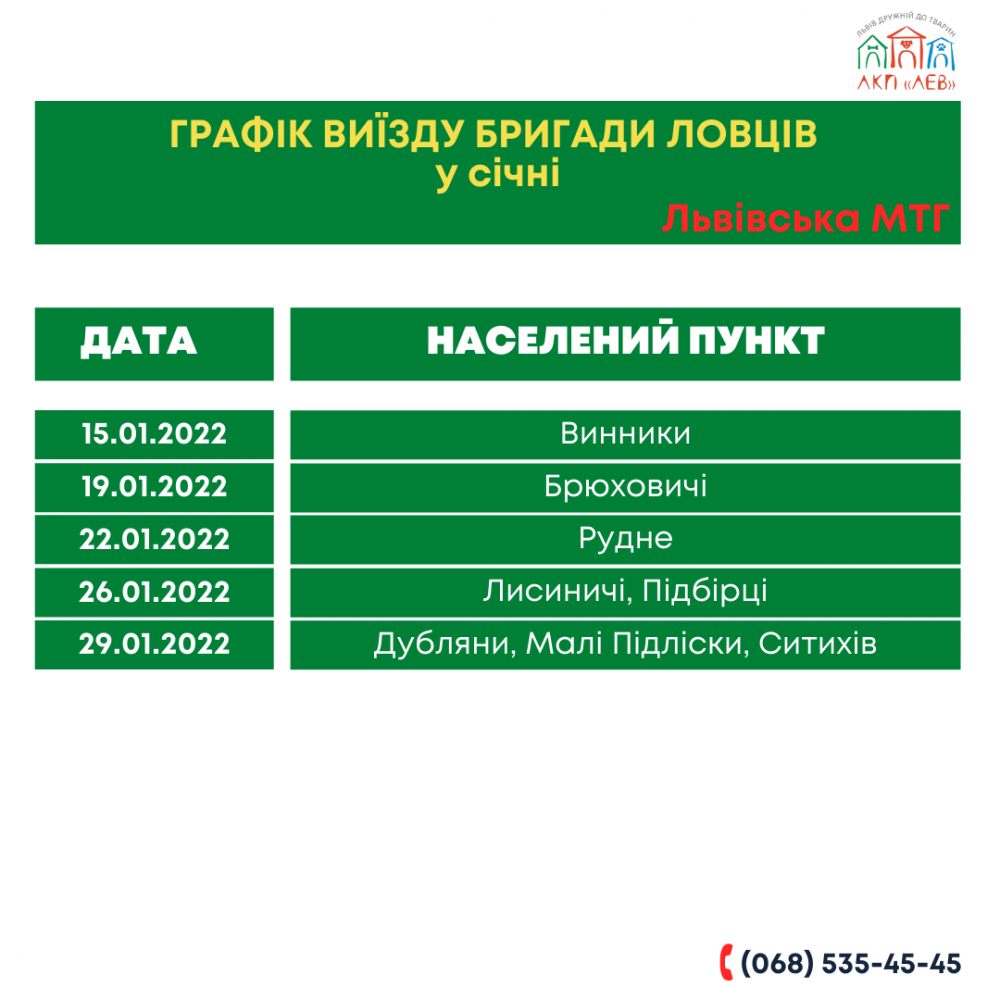 Як працюватимуть ловці бездомних собак у Львові у січні-лютому