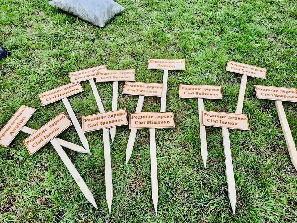 У Львові висадили першу алею італійських тополь. Фото: Львівська міська рада