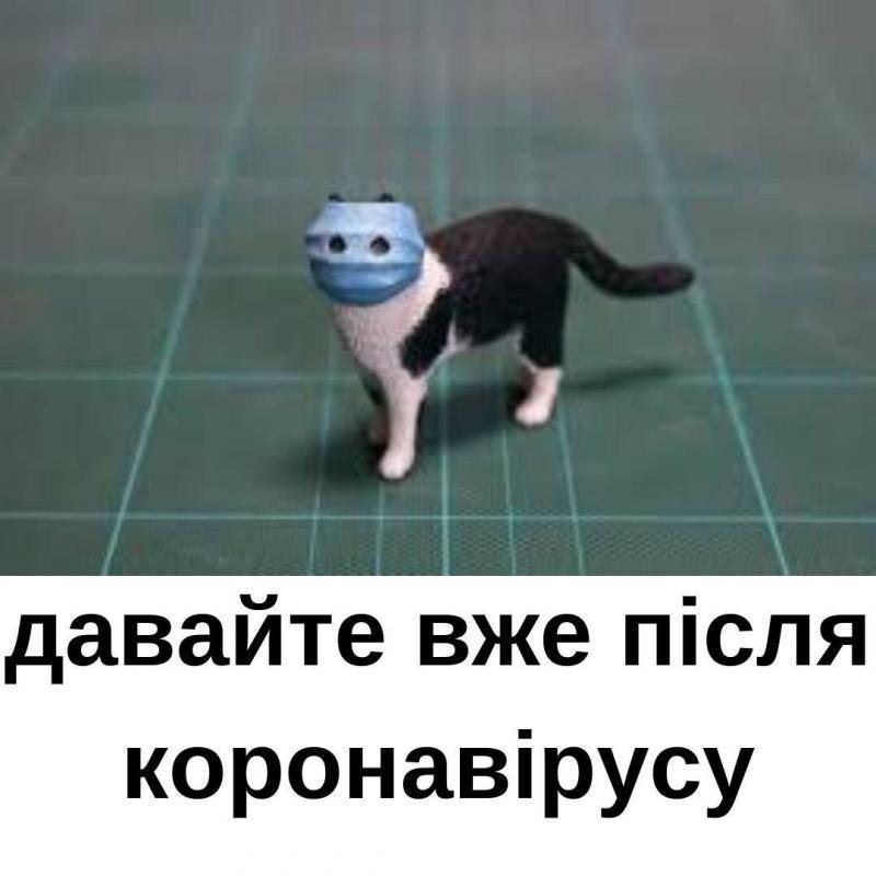 Фотожаби: як у соцмережах львів'яни жартують на тему коронавірусу фото 27 26